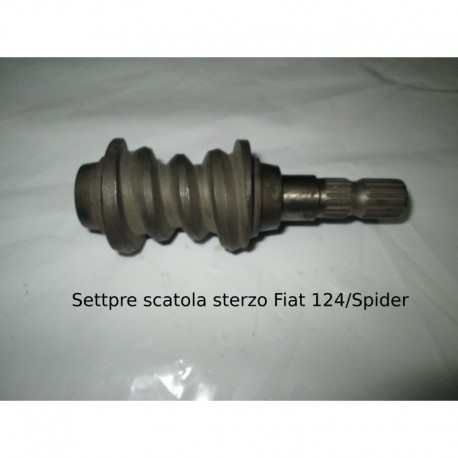 Settore scatola sterzo F. 124/Spider