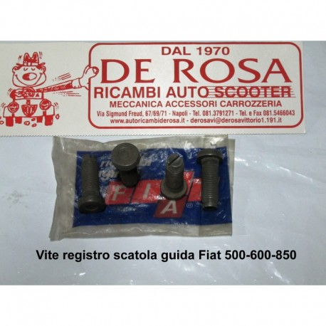 Vite registro scatola guida Fiat 500-600-850